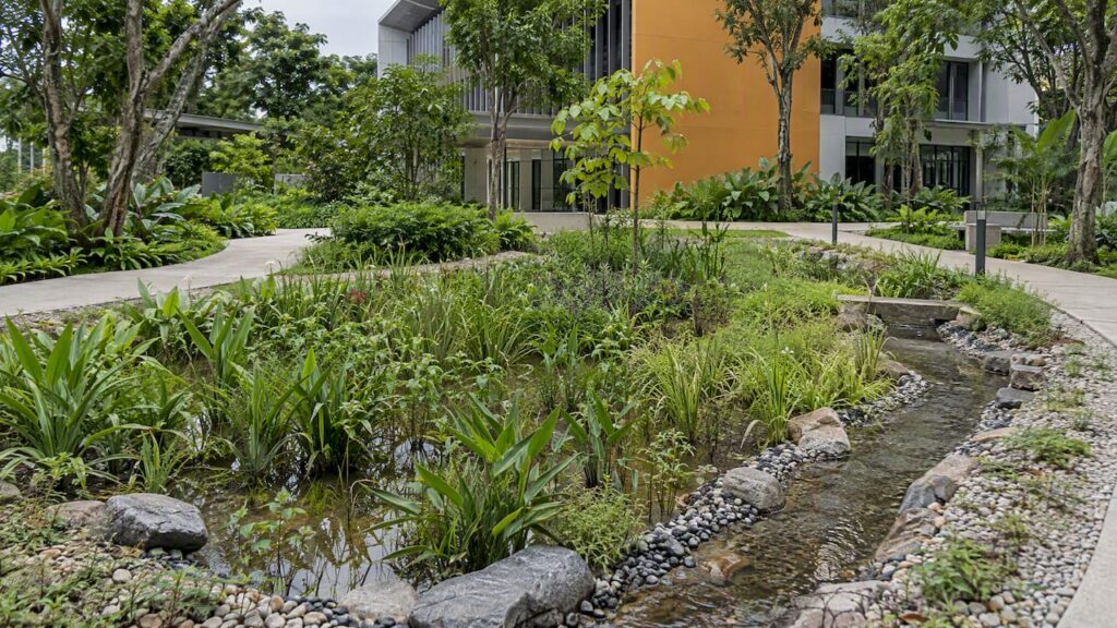 Rain garden integrated into a Singapore development